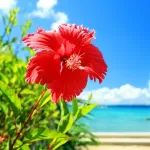 沖縄旅行行ってきたんだが、沖縄最強じゃね？