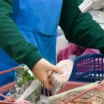 【悲報】食料品の消費税ゼロのマイナス5兆円弱の税収に対する経済効果、5000億円程度