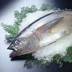 武器として振り回したら強い魚