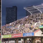 カープの『ガラガラ問題』を早急に解決する方法募集（改革必須）