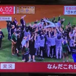 胴上げを知らないアメリカの実況ほんま草
