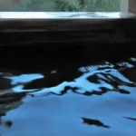 温泉や銭湯の効能を信じてるやつっているんか？