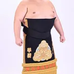 琴櫻（令和6年11月）「14勝1敗で優勝したぞ！」周囲「うおおおお！横綱待ったなし！」