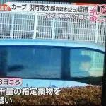 【ソンビたばこ】 広島・羽月隆太郎、尿検査で陽性反応も容疑を否認