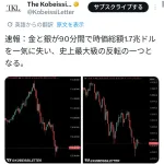 【悲報】金と銀、90分間で時価総額262兆円が吹っ飛ぶ