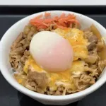 牛丼に乗せると美味しいもの「チーズ」「紅しょうが」