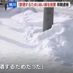 「お母さんを探している」氷点下6℃前後の路上で女の子保護 24歳の母親を逮捕…11時間以上放置か