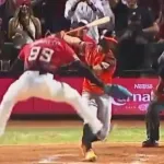 【動画】元西武ヤン、優勝決定戦で大暴れ！