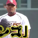 日本ハム、今季スローガンは『ドミれ！』
