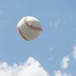 あと一ヶ月くらいでWBCが始まるんだよ