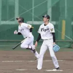 阪神19歳・今朝丸がシート打撃に登板　新加入の浜田に一発を浴びるなどホロ苦い初の実戦形式