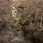 【悲報】北海道「昼に中途半端に溶けた雪が、夜に固まってツルツルになるンゴ」←これ