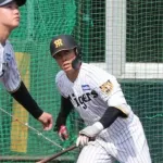 【朗報】谷端、シート打撃で初打席初安打！谷端が本物ならオールスター打線になってまう