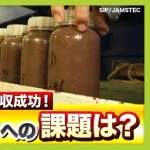 東京大学・生産技術研究所の岡部徹教授「国産レアアースの生産は10年以上後だと思ってください」