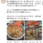 【悲報】吉野家、二種類あった