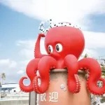 【悲報】タコさん、砂浜を軽快に歩いてしまうwwwwwwwwwwwwwwwww