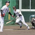 出たぞ！阪神、今キャンプ初シート打撃でドラ2谷端将伍が初打席初安打　門別から左前打