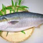 養殖のほうが美味いモノってある？