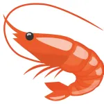 🦐って気持ち悪いよな？