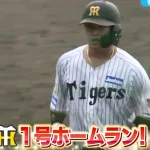 濱田のシート打撃の本塁打、甲子園じゃライトフライか？？？