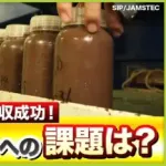 【悲報】東京大学教授「レアアース国内生産は10年以上かかります」←炎上・・・・