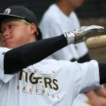 今年は森下と佐藤輝で80本超えそうだな