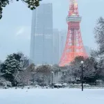 【悲報】東京で積雪5cm