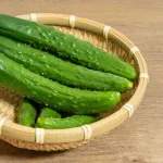 きゅうり←全く食う必要のない食べ物ｗｗ