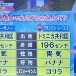 【朗報】中日ドラゴンズの新外国人、ゴリラだった