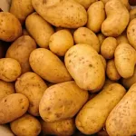 【急募】芋料理界の1番手はフライドポテト。では2番手は？ｗｗｗｗｗｗｗｗｗｗｗｗｗｗｗｗ
