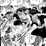 尾田栄一郎くん「ボア・ハンコックはシャッキーと違ってピンチになっても誰も助けに来ません」←これw