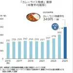 【悲報】カレーライス物価過去最高、自炊カレー1杯349円