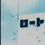 ロート製薬のCMで飛んでる鳩いるでしょ？