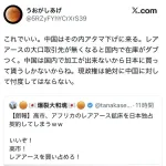 【朗報】高市日本、アフリカのレアアースを独占。更に加工技術のない中国は日本に土下座不可避に