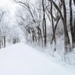【動画】女さん、雪道を舐めた結果・・・・・・・・・・・・・・・・・・・・