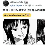 【画像】尾田っち、ロビンとナミを描き分けできなくなるｗｗｗｗｗｗ