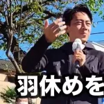【悲報】トンボさん、小泉進次郎で休んでしまうｗｗｗｗｗｗｗｗ