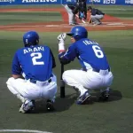 みんなが野球で好きな画像貼るスレ