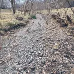 【画像】東京の川、干上がってしまうｗｗｗｗｗｗｗｗｗｗｗｗ