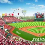 野球観戦（1回５０００円）の席が毎試合埋まる理由ｗｗｗ