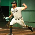 ヘルナンデス「ホークスでもう一度日本一に」WBCベネズエラ代表を辞退