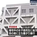【神奈川】中国籍の男(27)、女子高校生の顔面を殴り財布奪い逮捕