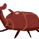 クソでけえカブトムシいた