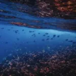 【悲報】南鳥島レアアース、中国産の20倍コストがかかるかもｗｗｗｗｗｗｗｗｗ