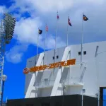 オープン戦や練習試合で打ちまくってた新人がシーズンに入るとみんな全く打てなくなるよな