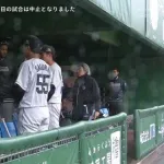 ロッテvsチェコ、藤岡の一発など飛び出すも5回裏で降雨ノーゲーム