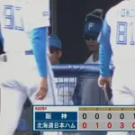 【日本ハム対阪神オープン戦】日本ハムが阪神に勝利しOP戦今季初白星！先発・達4回1安打6K零封 4番・西川復帰1号 カストロ先制打&来日1号場外2ラン3打点