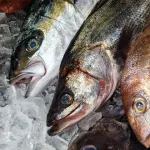 魚「高いです、調理めんどいです、食べるのめんどいです」←こんなん誰が買うねん