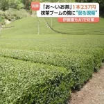 お～いお茶、172円→237円に値上げ…　世界的なブームで茶葉自体が不足