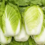 白菜いっぱい貰ったんやけど、白菜使う料理教えてクレメンス